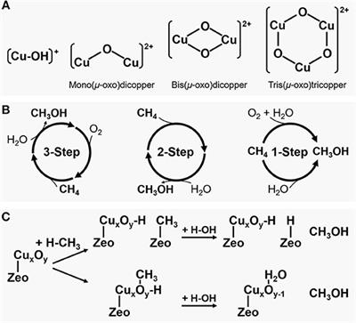 Recent Progress in Direct Conversion of Methane to Methanol Over Copper-Exchanged Zeolites